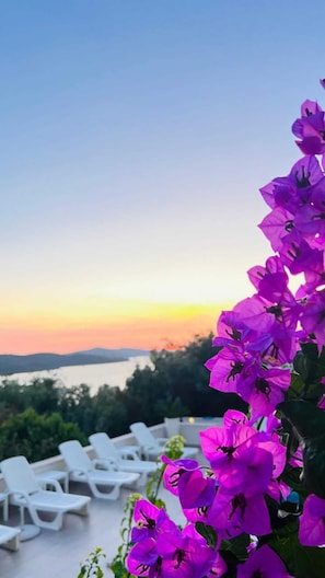 Sonnenuntergang mit violetten Blumen und weißen Liegestühlen.