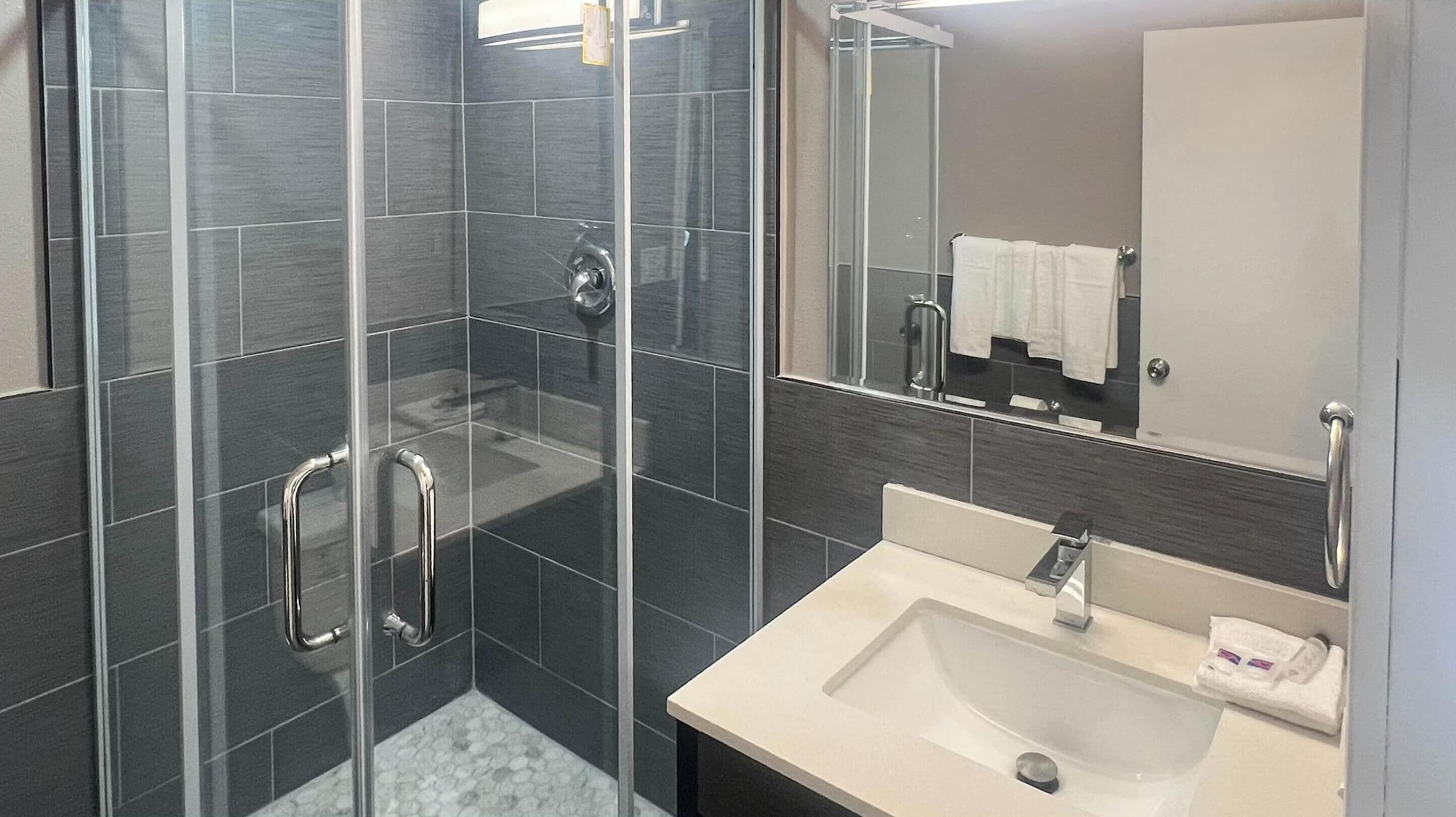 Suite Deluxe, plusieurs lits, non-fumeurs (Kitchen) | Salle de bain | Serviettes fournies