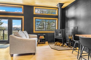 Smart TV, fireplace, books, stereo - Private Alpine Cabin · Disc Golf Course · Wood Fireplace · Dog-Friendly (Fairplay)
