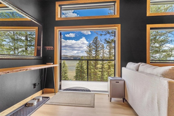 Smart TV, fireplace, books, stereo