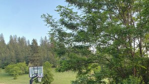 A basketball hoop in a grassy area with trees and yellow flowers in the background.