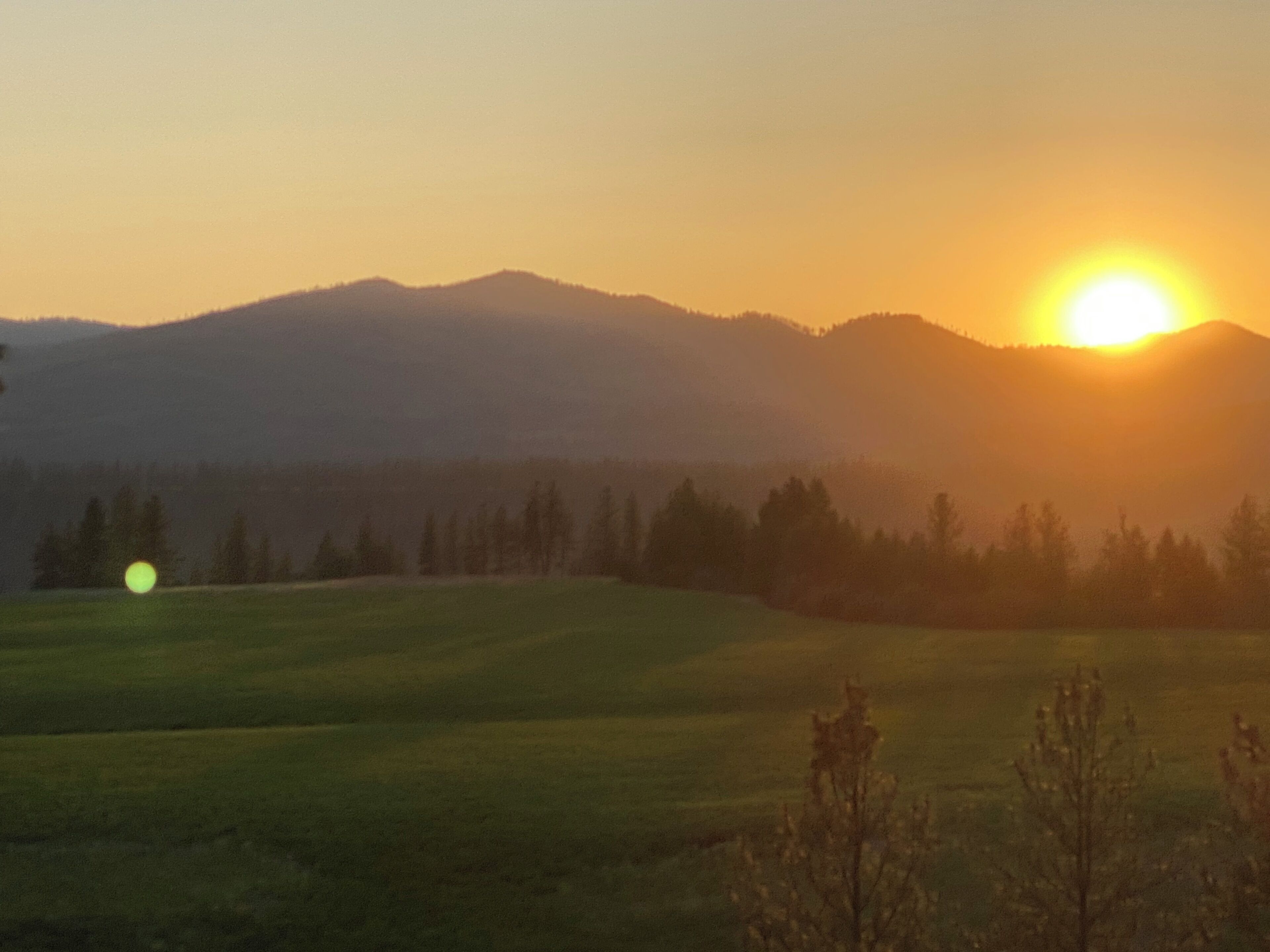 A landscape with a sun setting behind a mountain range, a field in the foreground, and trees.