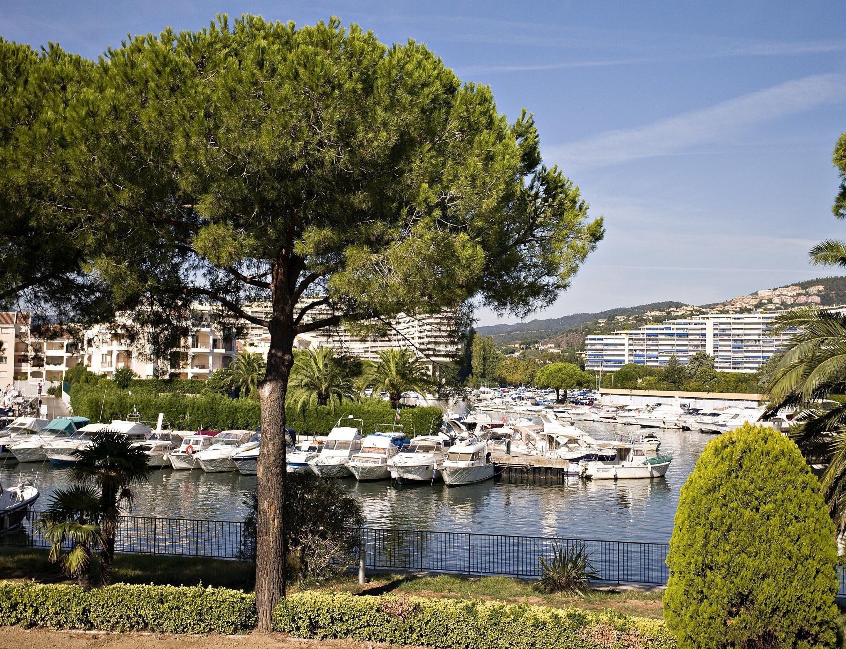 A marina with numerous boats docked, surrounded by residential buildings and greenery.