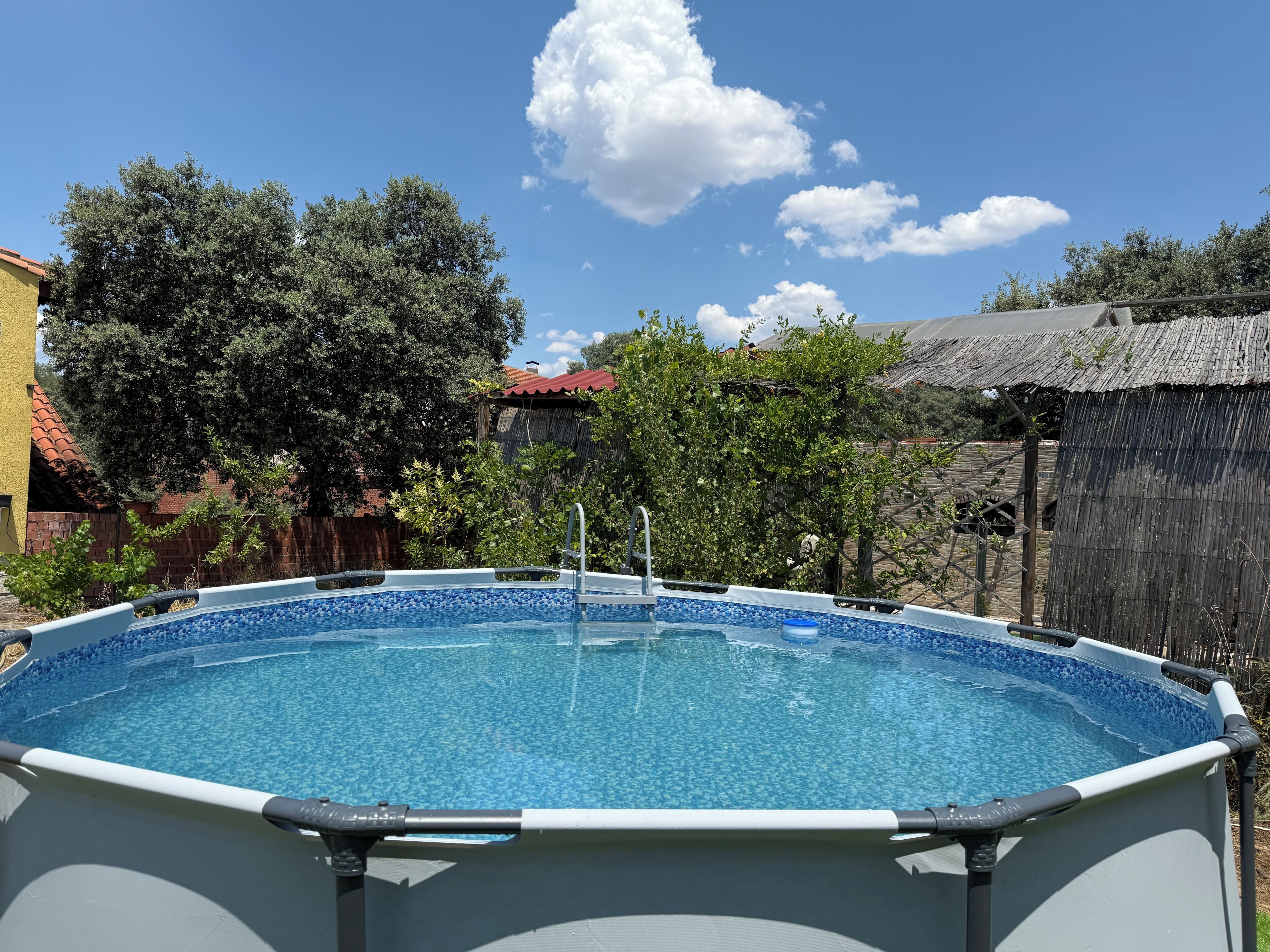 Una piscina amb un videt de rajola blava, envoltada d'arbres i una tanca de fusta.