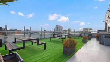 Penthouse, 2 Bedrooms, City View (Private Rooftop, Ocean View)