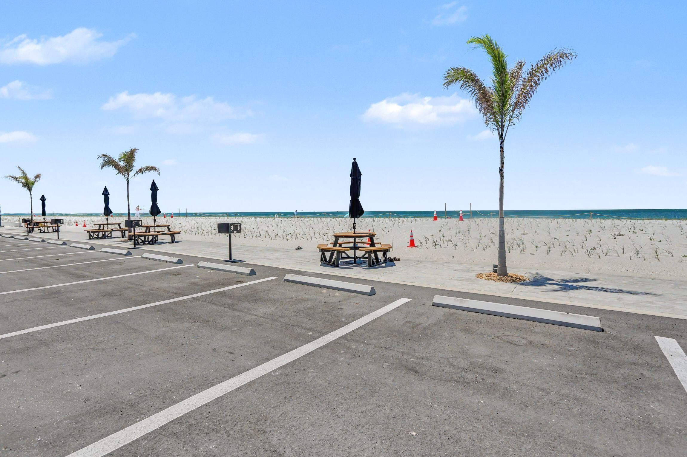 A beachside parking area with picnic tables and umbrellas, a palm tree, and a clear view of the ocean.
