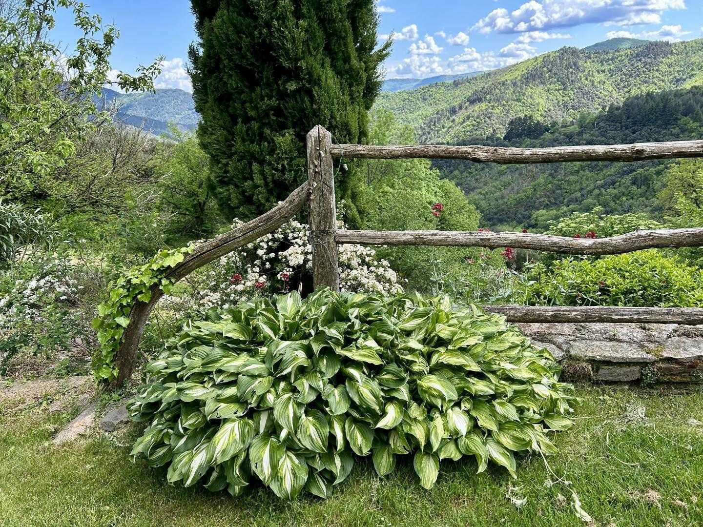 Terrain de l’hébergement 