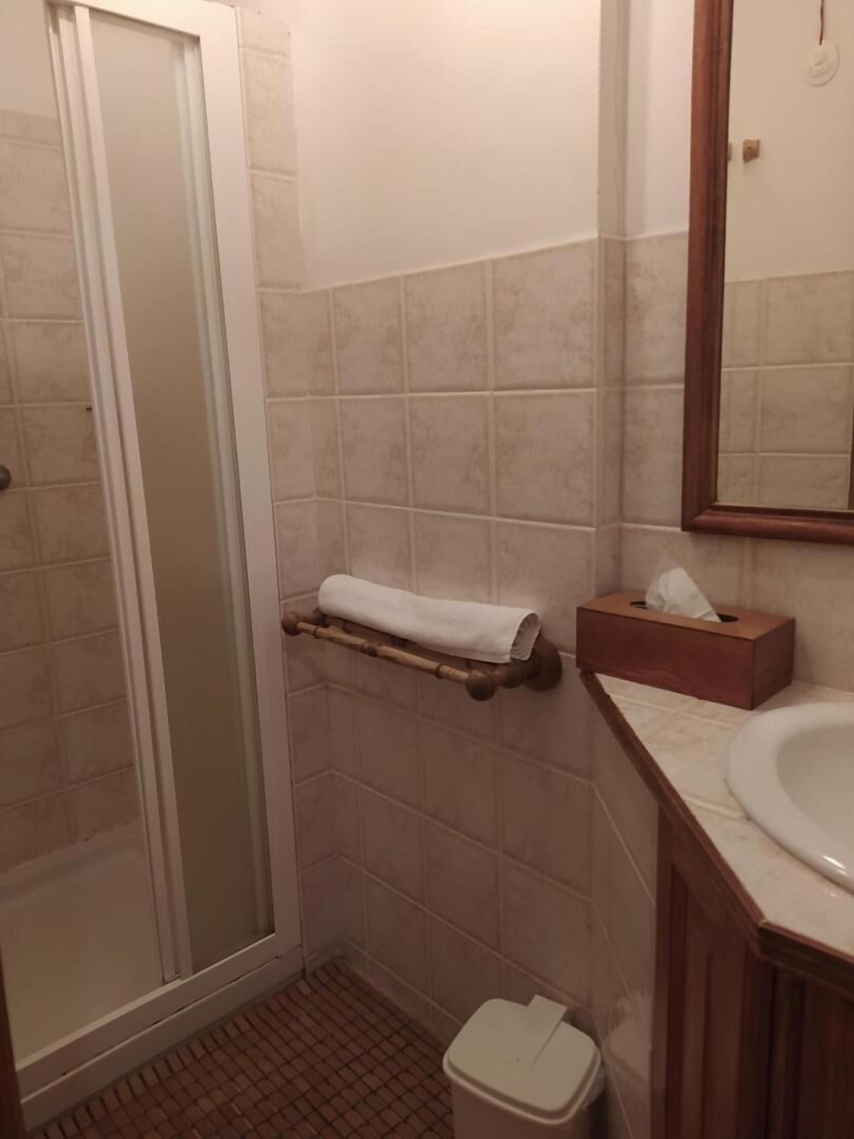 A bathroom with a shower, a toilet, a sink, and a mirror.