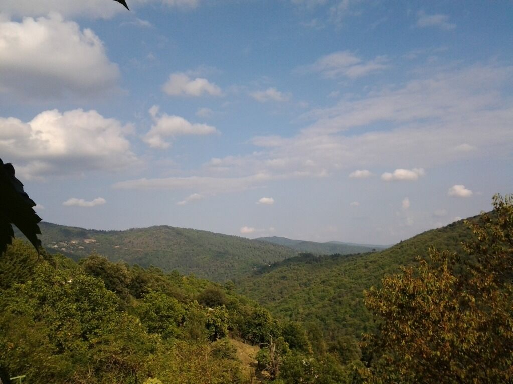 Eine Landschaft mit Hügeln und Bäumen.