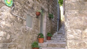 A narrow stone staircase with potted plants at the base, a metal handrail, and a door with shutters. - Gîte de la Volte in Sainte Enimie (SAINTE-ENIMIE)