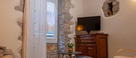 A cozy room with a stone wall, a television, a wooden cabinet, a small table with a plant, and a chair.