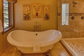 Shower, hair dryer, towels, shampoo - Abode at Guyer Hot Springs, walk to lift, hot tub (Ketchum)