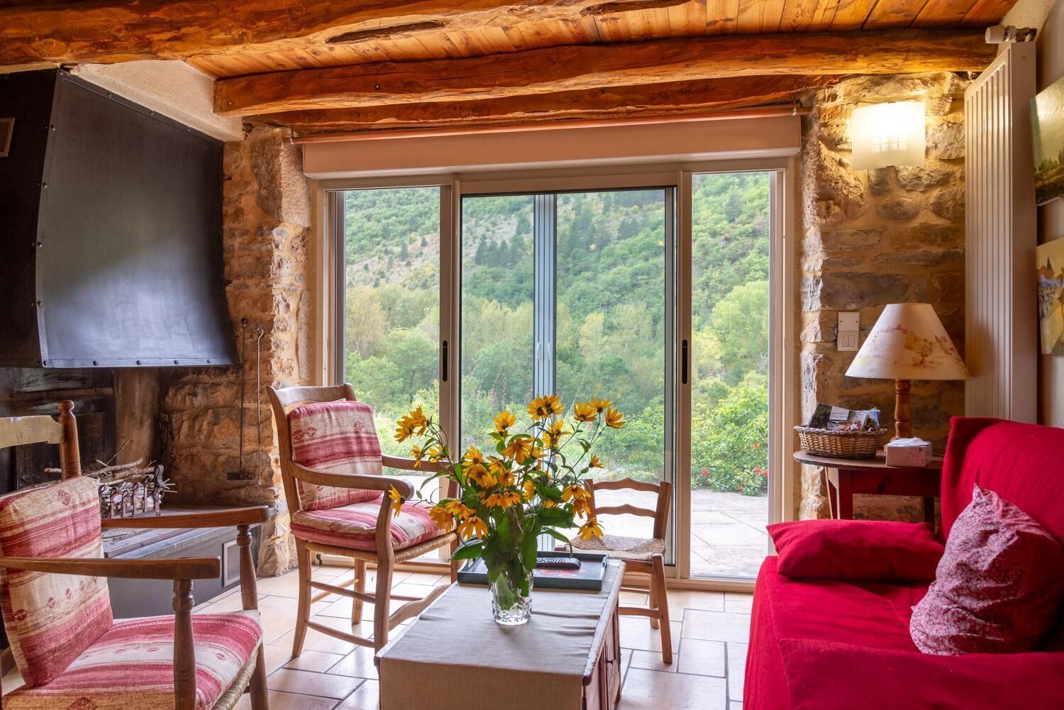 TV, fireplace, books