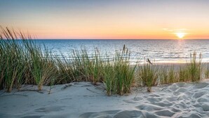A beach with sand dunes and grass in the foreground, leading to the ocean. - Emerald Waters 301- Saltwater Therapy (Miramar Beach)