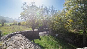 Un mur de pierre, une zone herbeuse et un arbre aux feuilles jaunes.