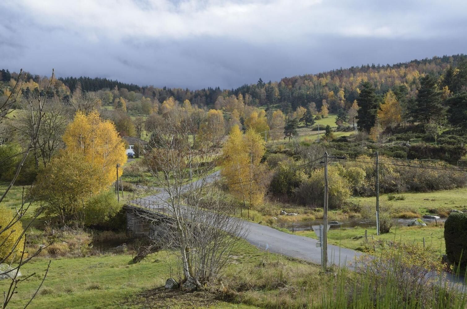 Ett lantligt landskap med en väg, träd och en liten bro.