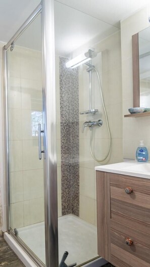 Shower, hair dryer - Le Gîte du Comte 2/3 persons (SAINT-GERMAIN-DE-CALBERTE)
