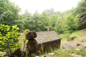 Property grounds - Le Gîte du Comte 2/3 persons (SAINT-GERMAIN-DE-CALBERTE)