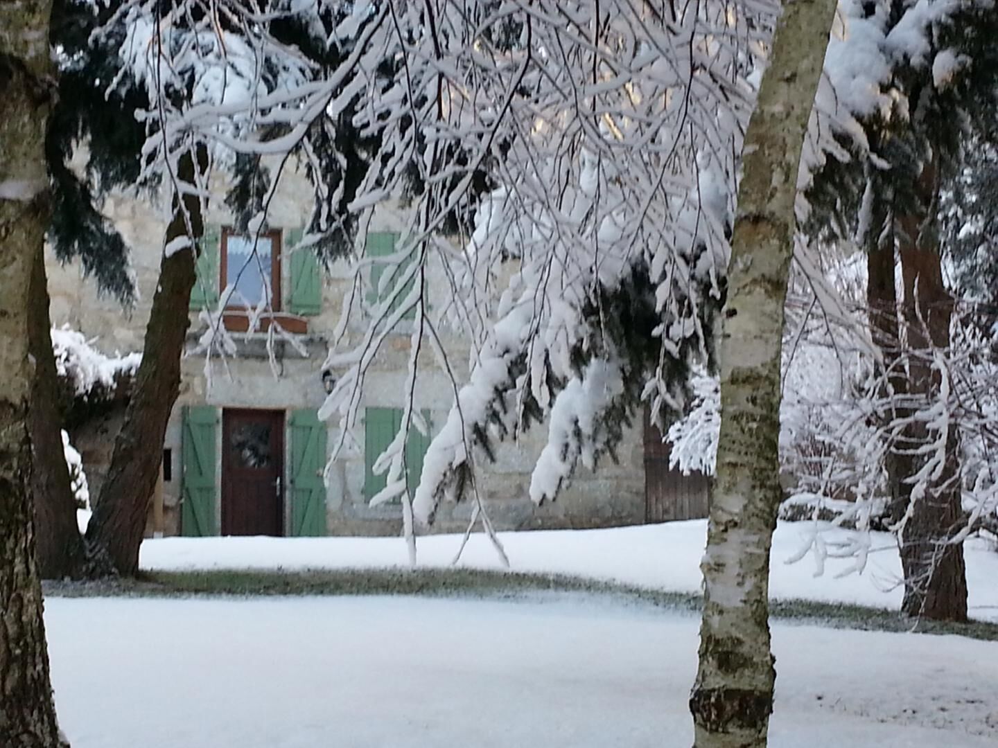 Zona exterior cubierta de nieve con árboles y un edificio con contraventanas verdes.