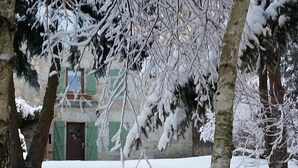 A snow-covered outdoor area with trees and a building with green shutters. - LA DROSERA - LAJO - Gîte (LAJO)