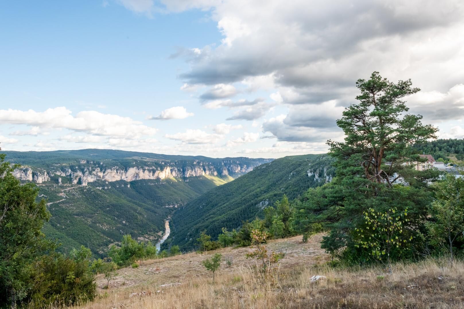 A mountainous landscape with a valley, a prominent tree, and a distant building.