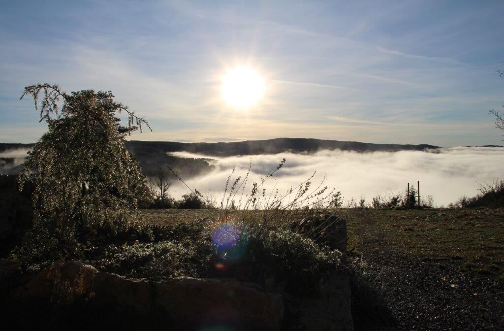 A landscape with a sunlit sky, a tree, and a fog-covered valley.