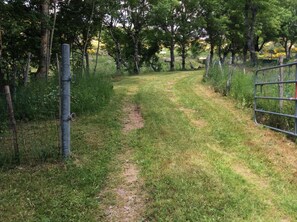 Property grounds - GITE DE MONTGROS - LE PONT-DE-MONTVERT (LE PONT-DE-MONTVERT)