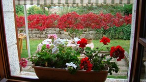 Blick aus dem Fenster auf einen Garten mit Tisch und Stühlen, eine Steinmauer und verschiedene Kübelpflanzen.