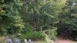Een bebost gebied met een onverhard pad, buitenzitplaatsen met stoelen en een natuurlijke omgeving.