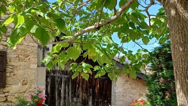 Un patio de piedra con una mesa y sillas de metal rojo, rodeado de vegetación y un muro de piedra.