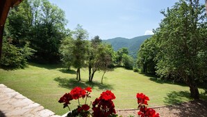 Vista de un paisaje verde exuberante con árboles y cielo despejado.