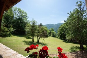Ein Blick auf eine üppige, grüne Landschaft mit Bäumen und blauem Himmel.