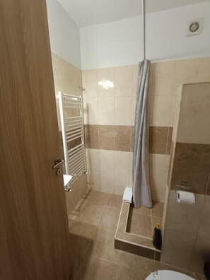 Economy Double Room | Bathroom | Shower, hair dryer, towels, soap - Casa Rezidentiala Pasteur (Cluj-Napoca)