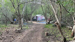 A forested campsite with a tent and a portable toilet. - Charming cabin tent campground in peaceful Frenchtown for your getaway (Frenchtown)