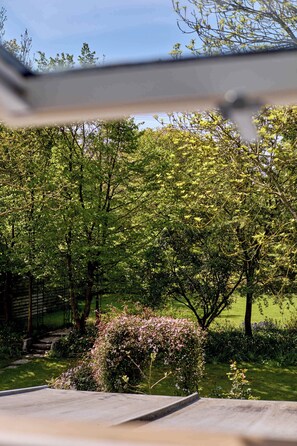 Blick durch ein Fenster auf einen üppigen Garten mit Bäumen und einem kleinen Busch.