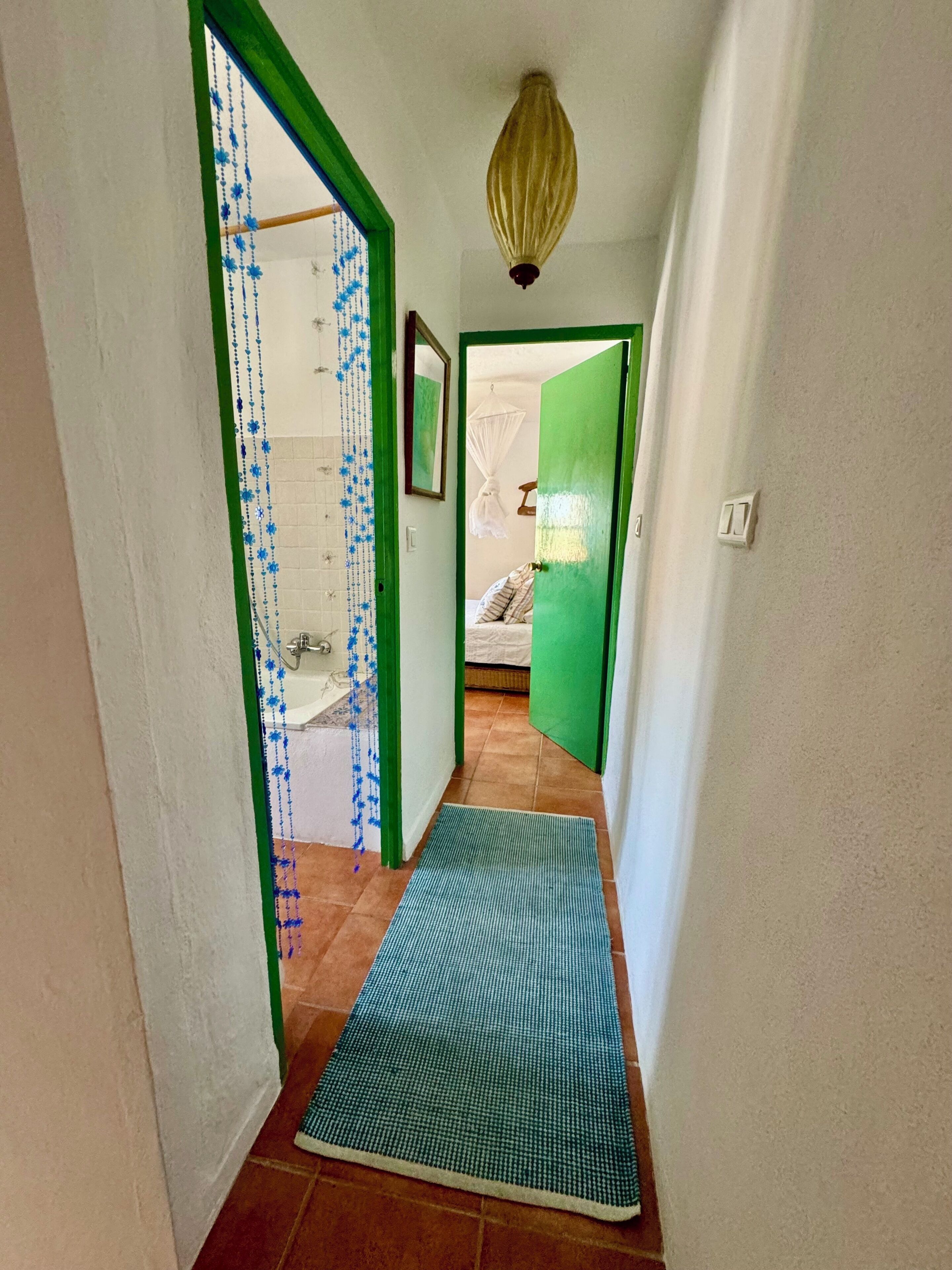 En hall med en grön dörr som leder in till ett rum, en blå matta vid ingången och en hängande lampa.