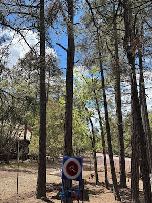 Property grounds - Soothing 2-bedroom house with yard in Pinetop-Lakeside (Pinetop-Lakeside)