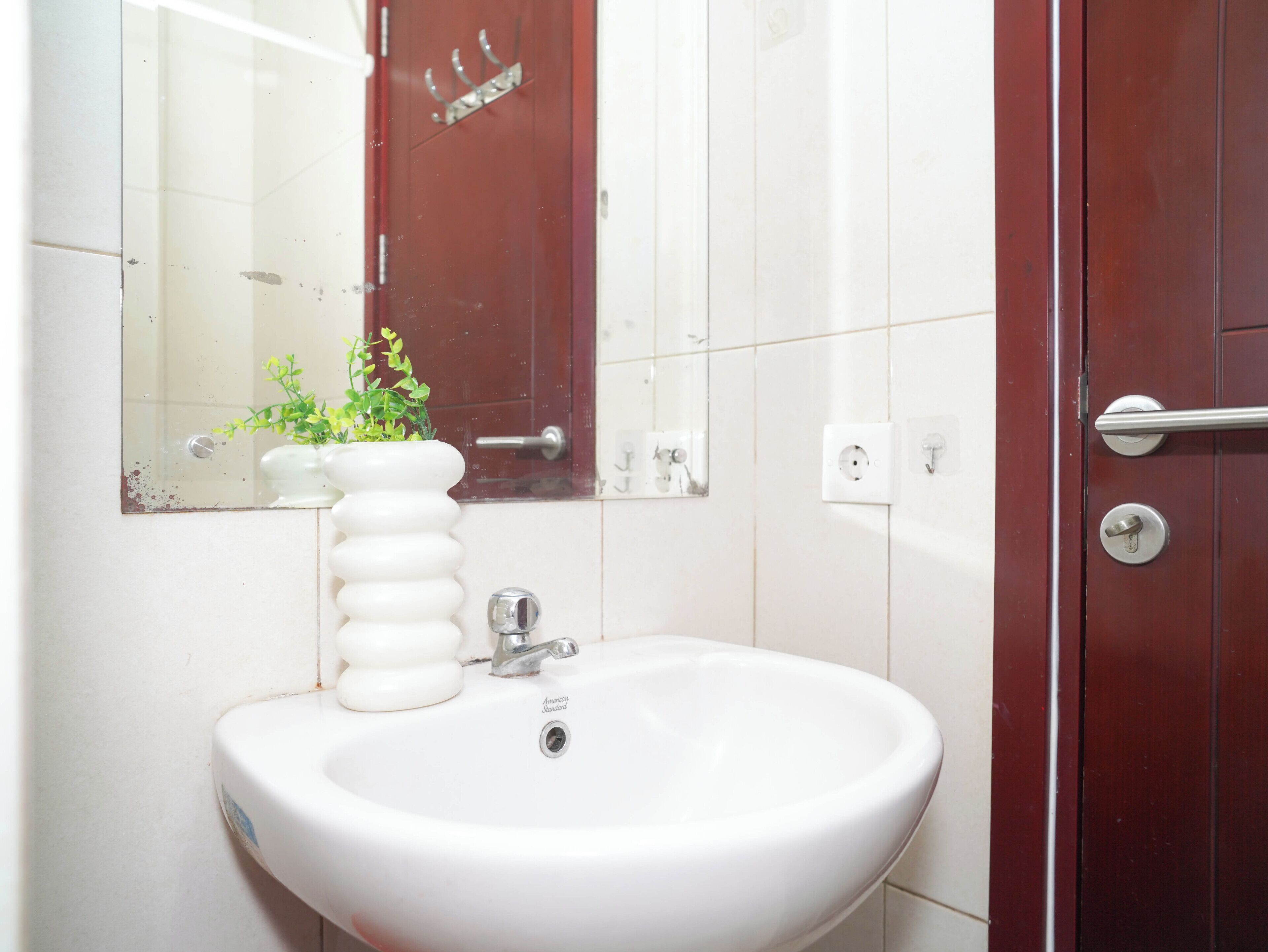 A bathroom with a white sink, a mirror, a potted plant, and a wooden door.