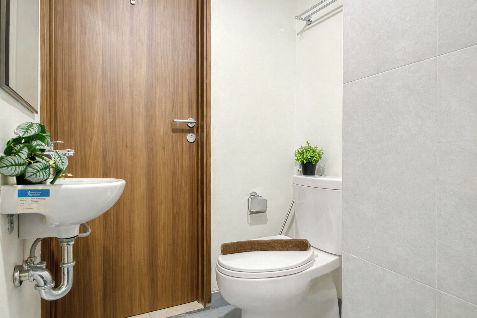 A bathroom with a wooden door, a white sink, a toilet, and a small potted plant on the wall.