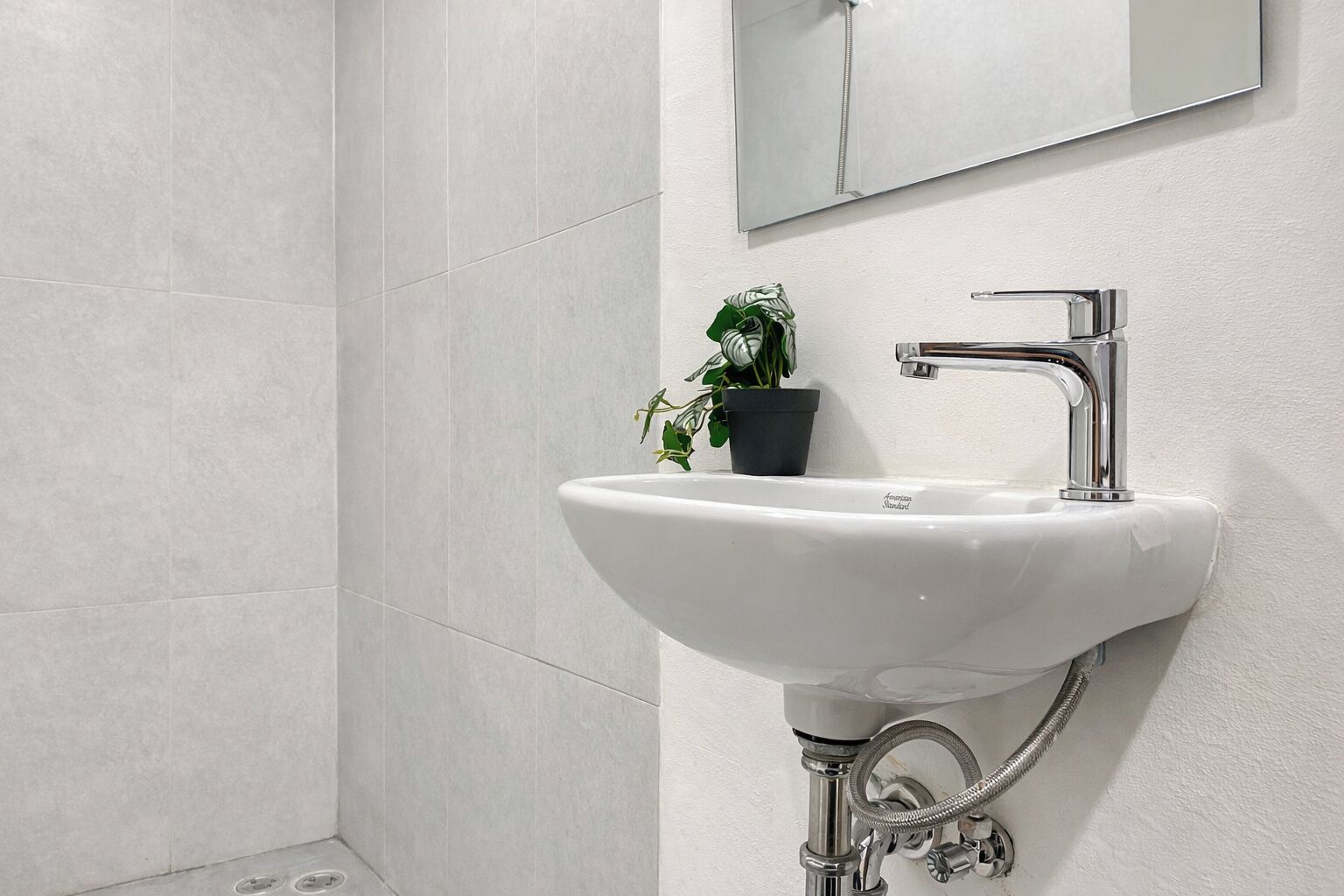 Une salle de bain avec un lavabo blanc, un robinet chromé et une plante en pot.
