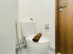 Un bagno con un water bianco, una doccia, una piccola pianta in vaso sul serbatoio del water e una porta di legno.