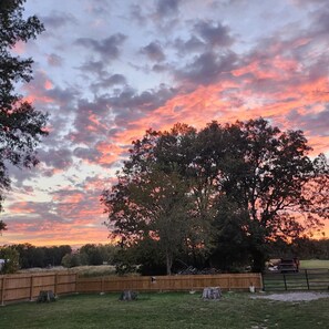 A fenced outdoor area with a large tree and a wooden fence. - Rend House - The Perfect Getaway! (Whittington)
