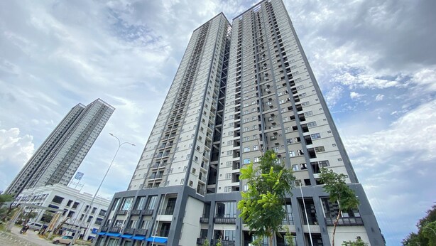 Ảnh chưa phân loại, 1 trong số 23 ảnh, nút
