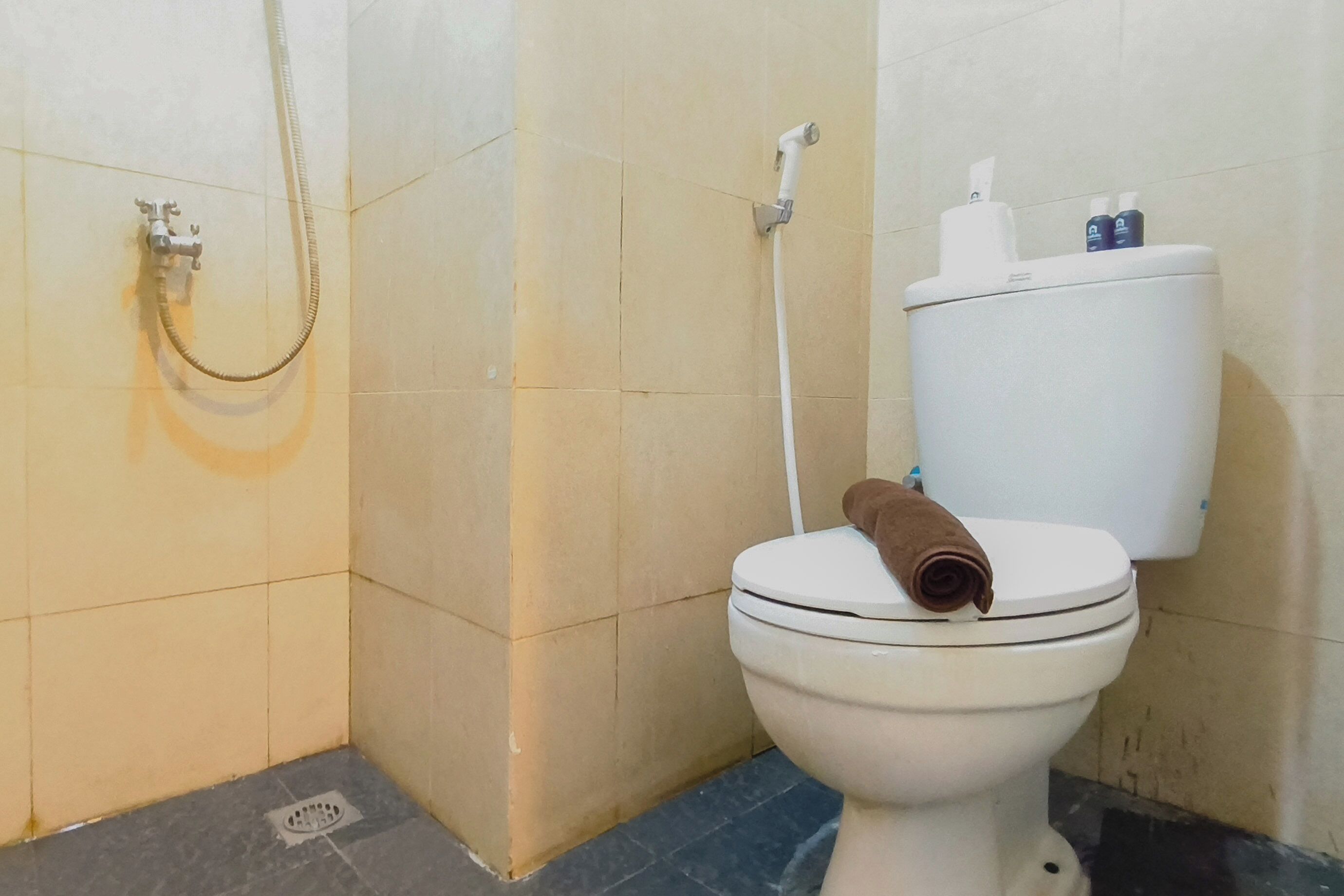 A bathroom with a toilet, a shower, and a toilet paper holder with two rolls.