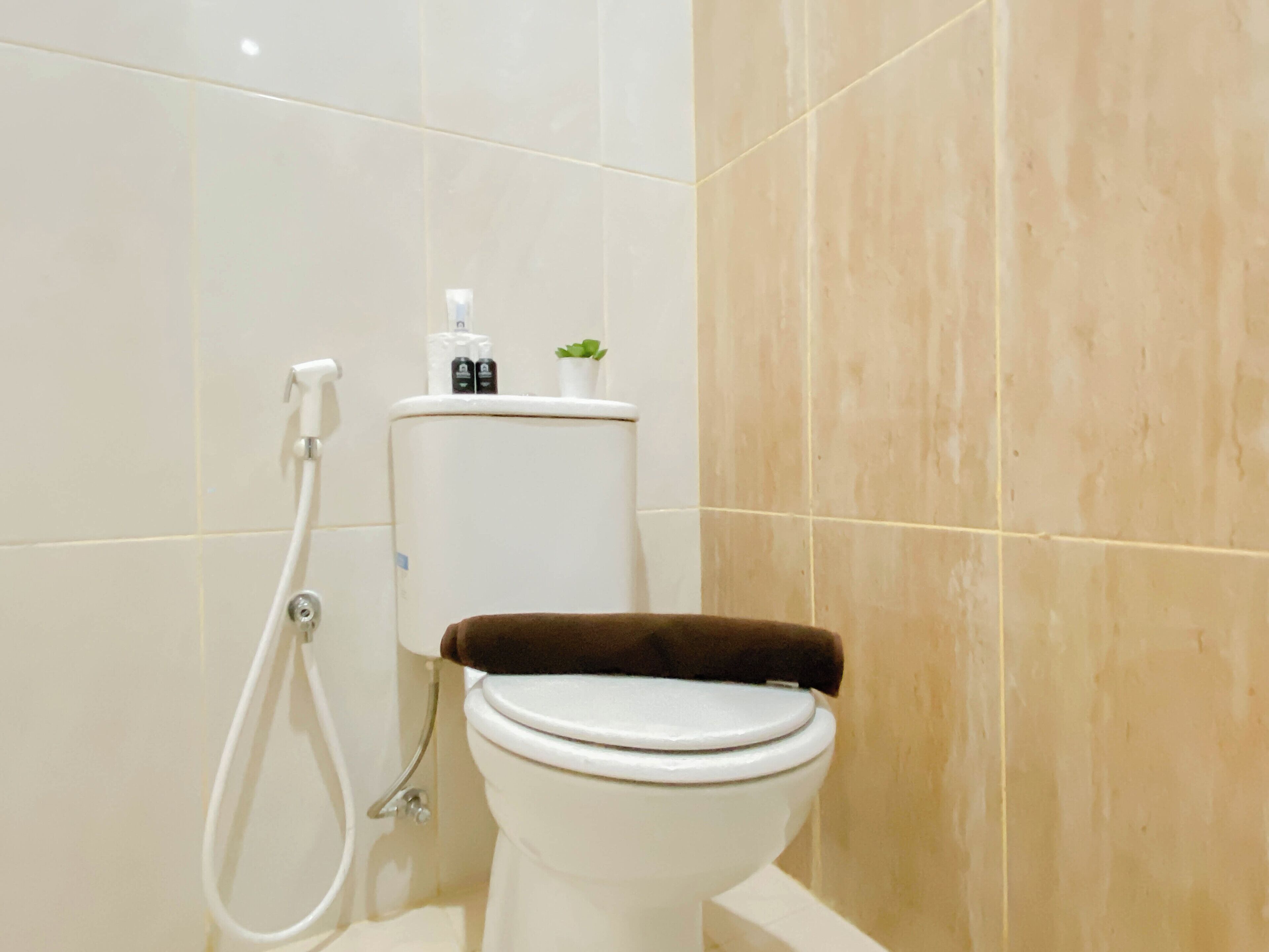 A bathroom with a toilet, a shower, and a small potted plant on the wall.