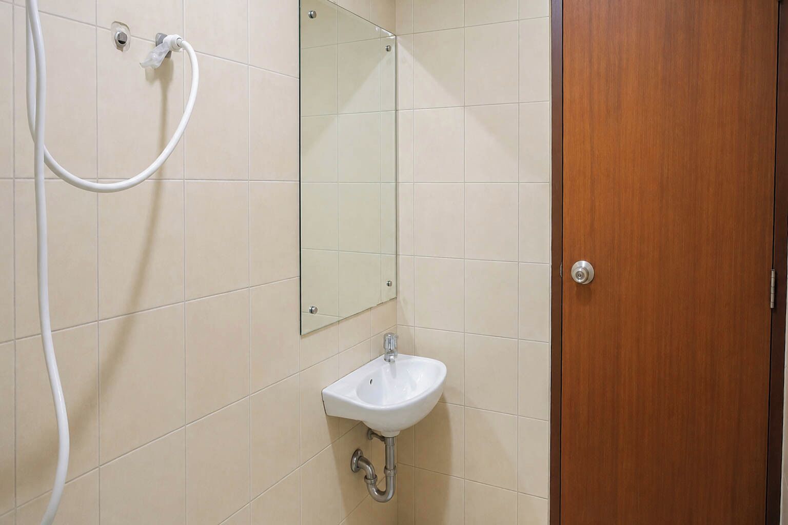 A bathroom with a sink, mirror, and shower hose.