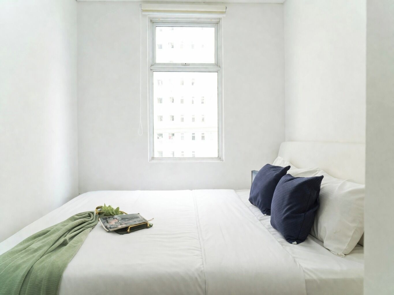 A minimalist bedroom with a single bed, a window with a view of buildings, and a green plant on the bed.