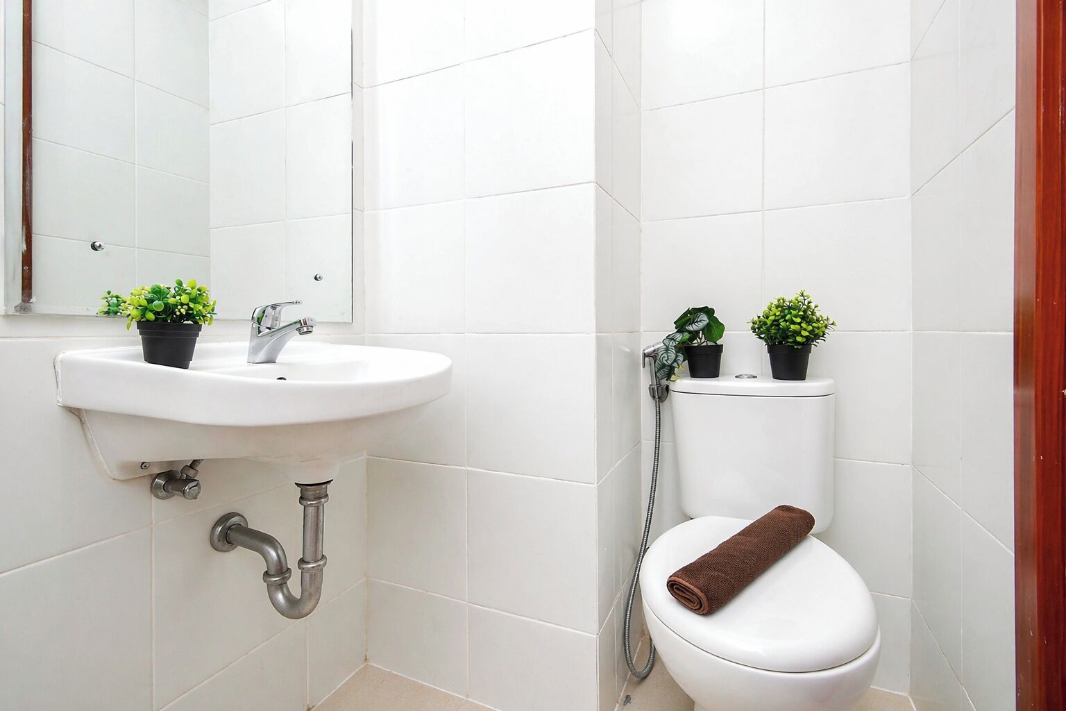 Ein Badezimmer mit einem weißen Waschbecken, einer Toilette und zwei Topfpflanzen.