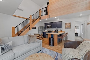 TV, fireplace, books
