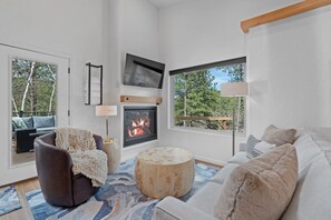 TV, fireplace, books